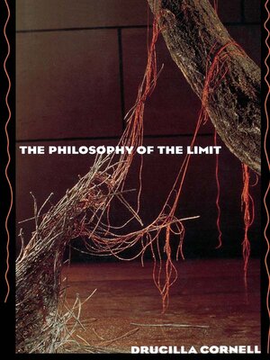 cover image of The Philosophy of the Limit